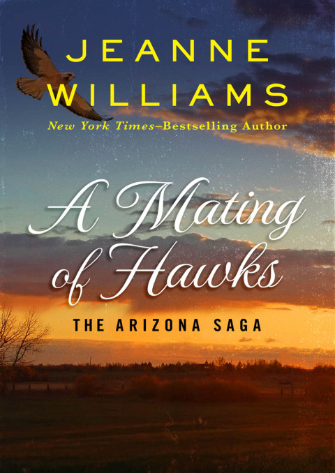 Cover image for book A Mating of Hawks