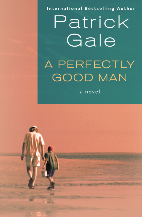Cover image for book A Perfectly Good Man