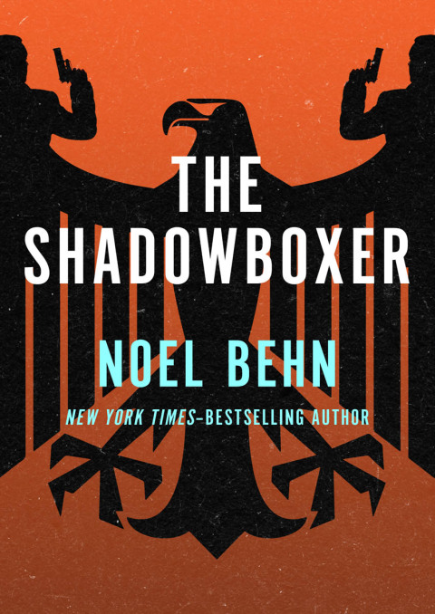 Cover image for book The Shadowboxer