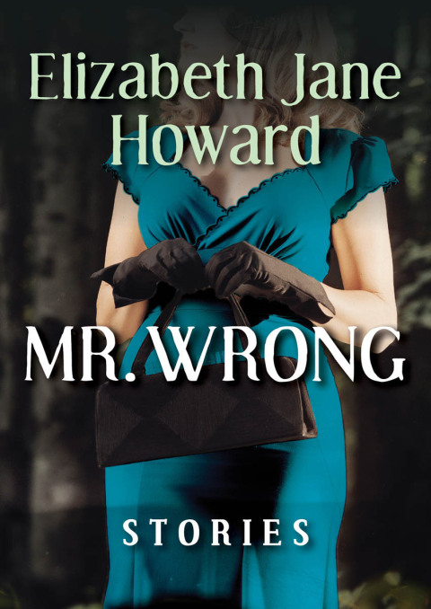 Cover image for book Mr. Wrong