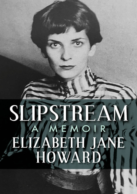 Cover image for book Slipstream