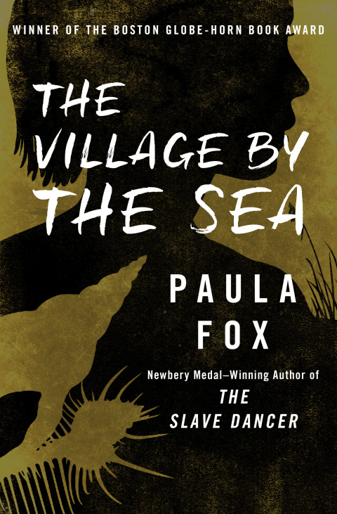 Cover image for book The Village by the Sea