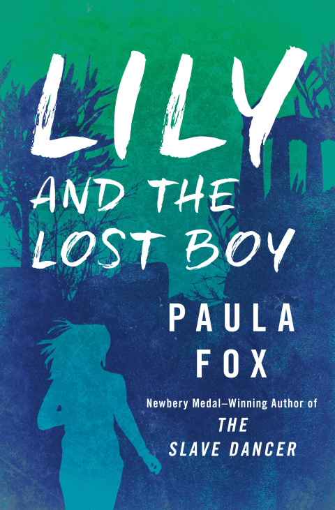 Cover image for book Lily and the Lost Boy