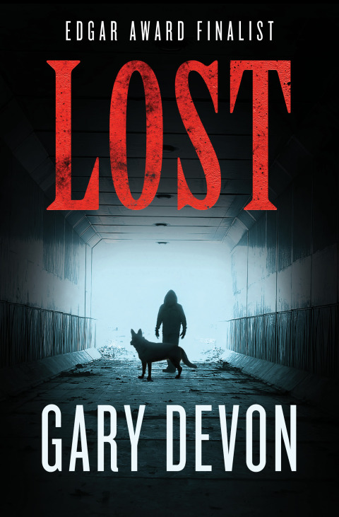 Cover image for book Lost