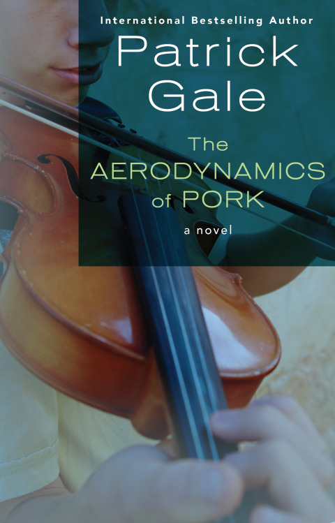 Cover image for book The Aerodynamics of Pork