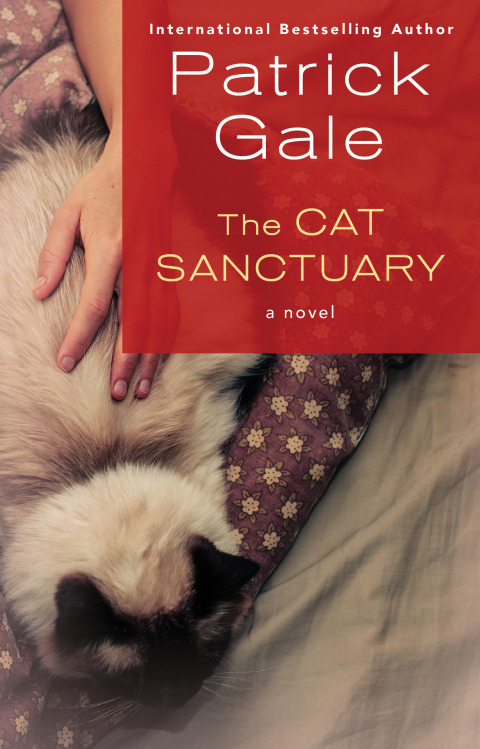 Cover image for book The Cat Sanctuary