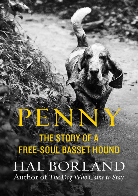 Cover image for book Penny