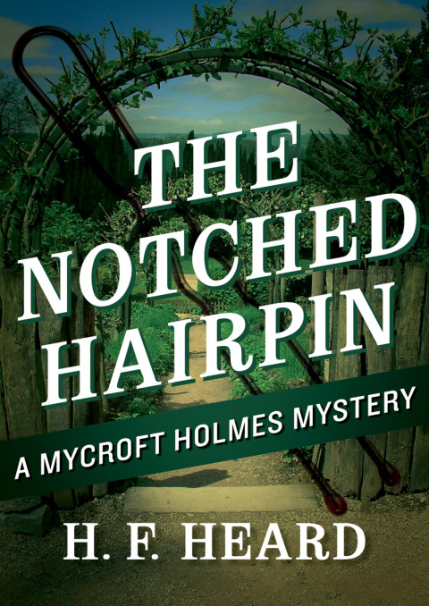 Cover image for book The Notched Hairpin