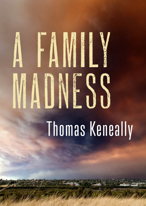 Cover image for book A Family Madness