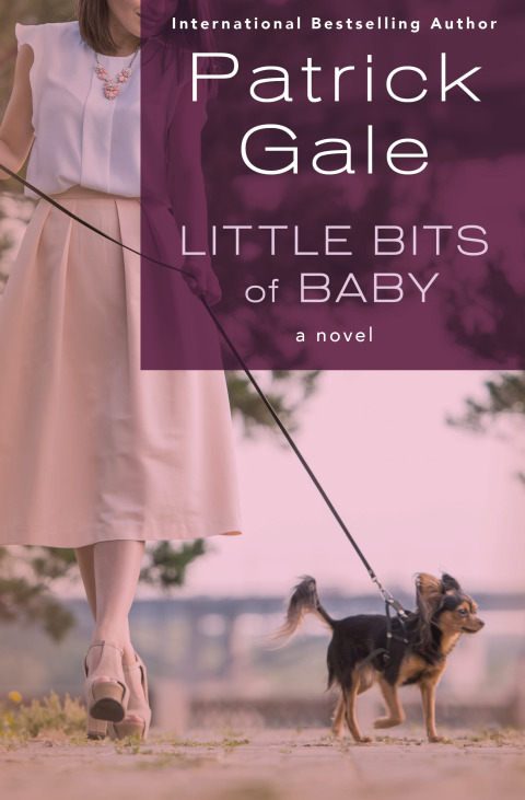 Cover image for book Little Bits of Baby