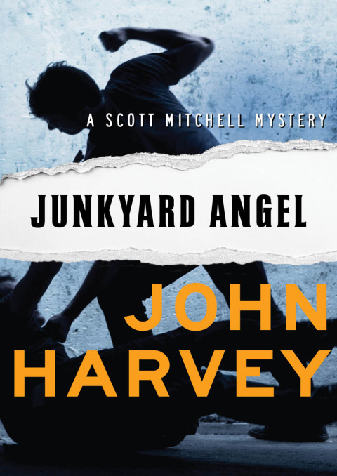 Cover image for book Junkyard Angel