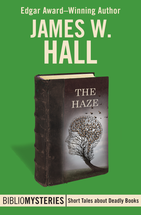 Cover image for book The Haze