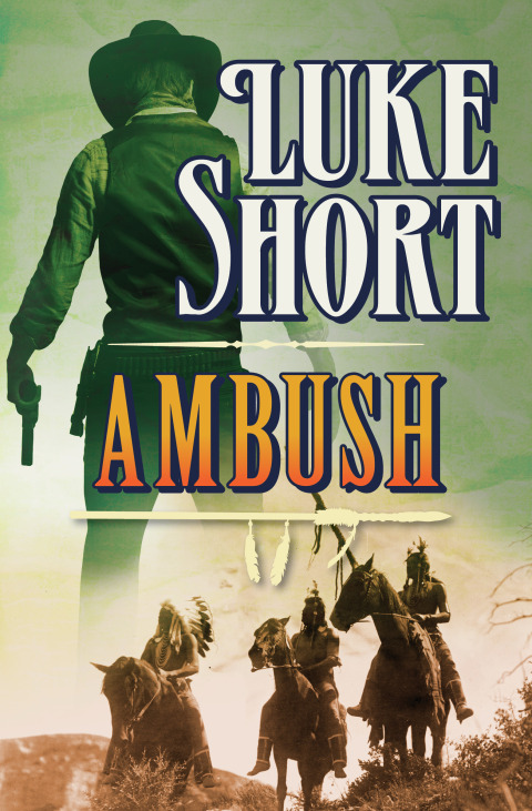Cover image for book Ambush