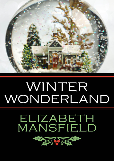 Cover image for book Winter Wonderland