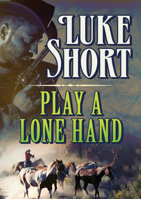 Cover image for book Play a Lone Hand
