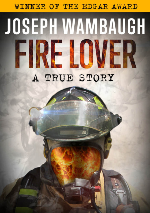Cover image for book Fire Lover