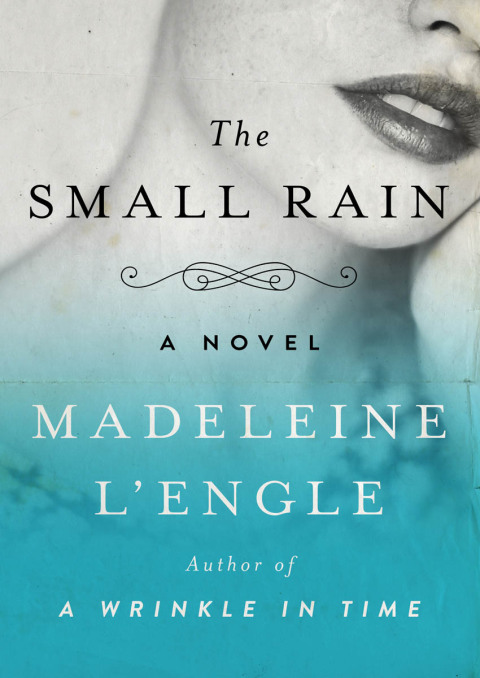 Cover image for book The Small Rain