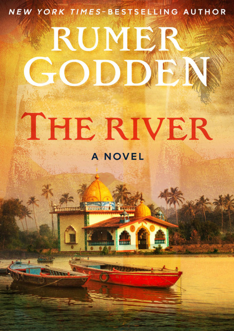 Cover image for book The River