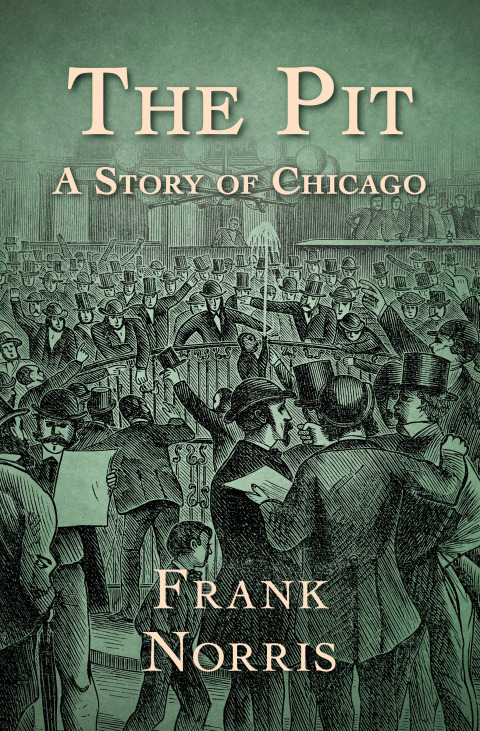 Cover image for book The Pit