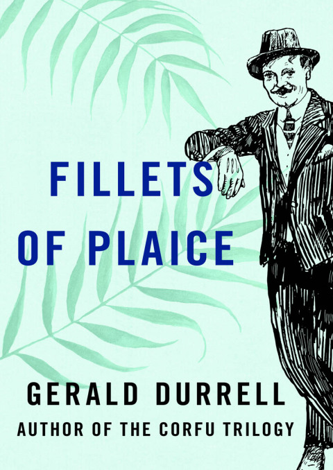 Cover image for book Fillets of Plaice