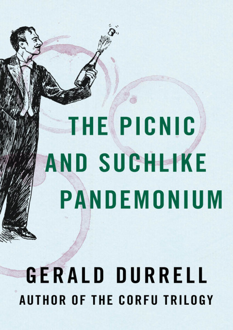 Cover image for book The Picnic and Suchlike Pandemonium