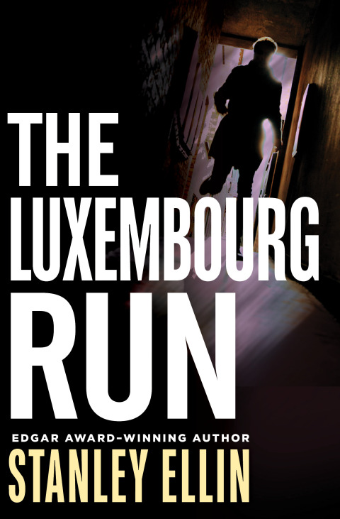Cover image for book The Luxembourg Run