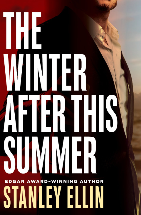 Cover image for book The Winter After This Summer