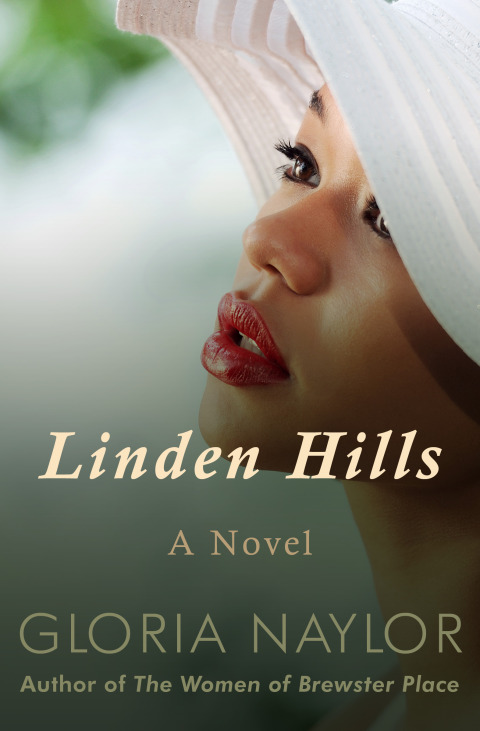 Cover image for book Linden Hills