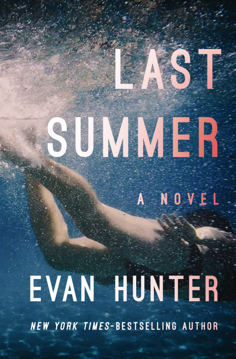 Cover image for book Last Summer