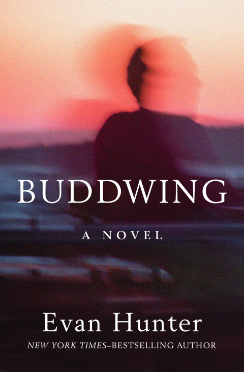 Cover image for book Buddwing