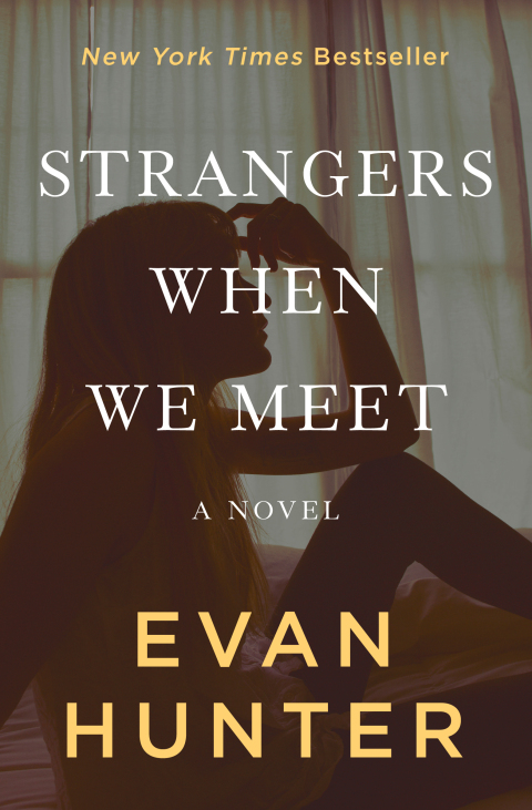 Cover image for book Strangers When We Meet