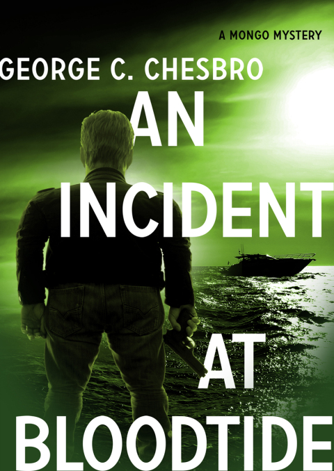 Cover image for book An Incident at Bloodtide