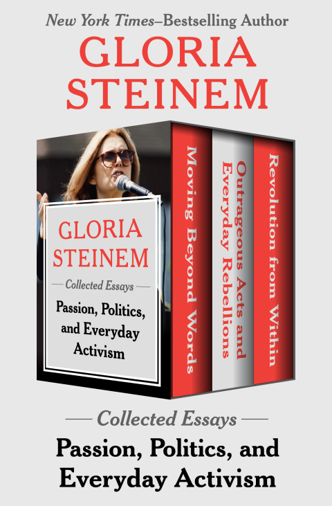 Cover image for book Passion, Politics, and Everyday Activism