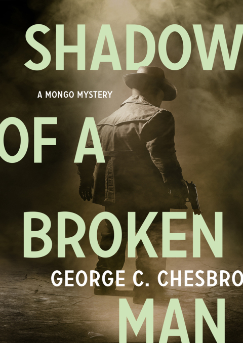 Cover image for book Shadow of a Broken Man