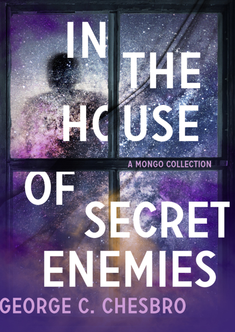 Cover image for book In the House of Secret Enemies