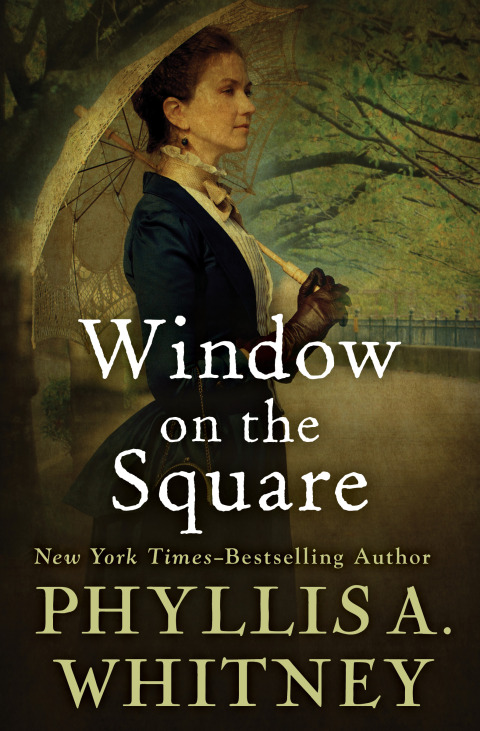 Cover image for book Window on the Square