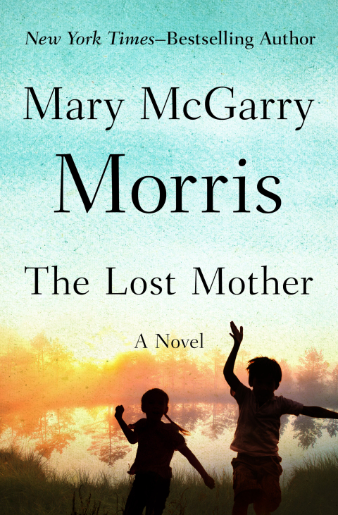 Cover image for book The Lost Mother