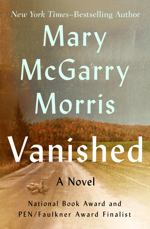 Cover image for book Vanished