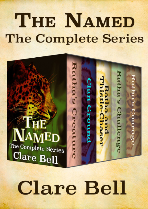 Cover image for book The Named
