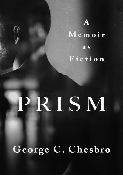Cover image for book Prism