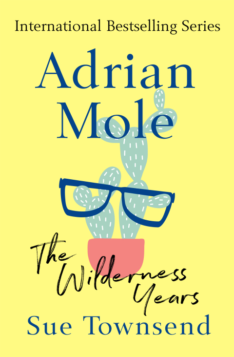 Cover image for book Adrian Mole: The Wilderness Years