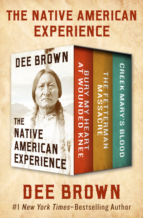 Cover image for book The Native American Experience