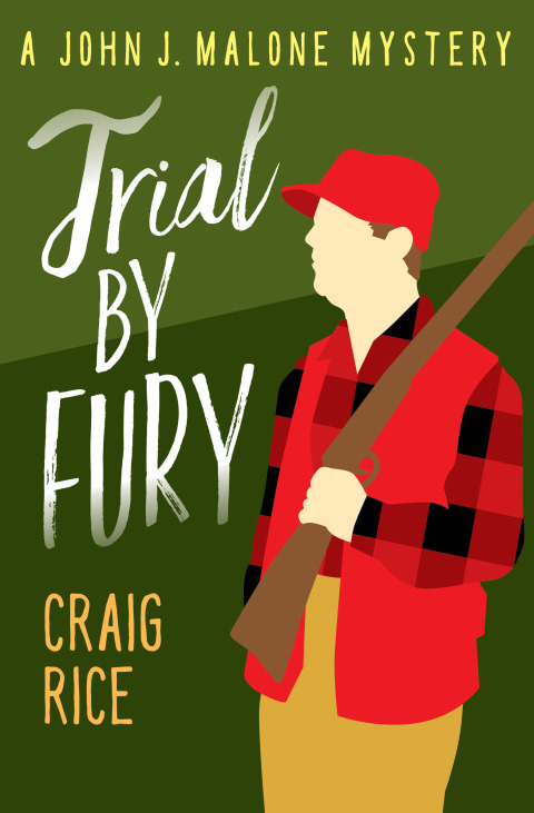Cover image for book Trial by Fury