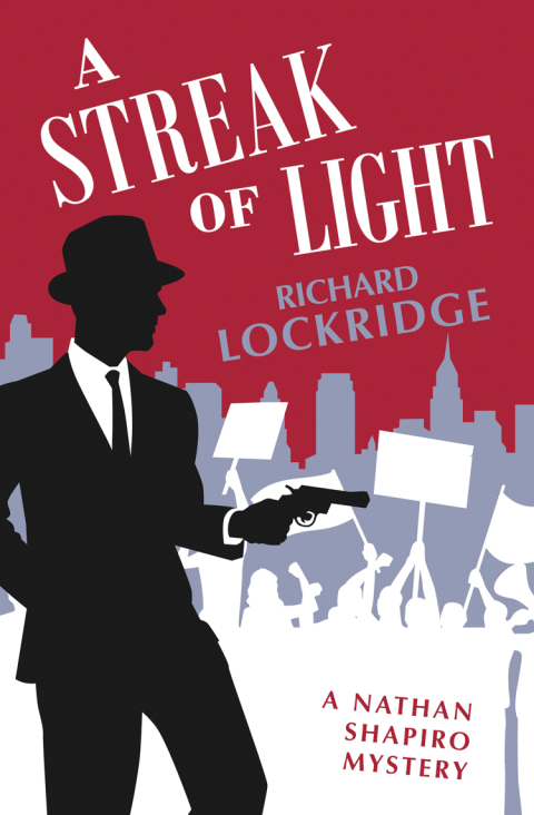 Cover image for book A Streak of Light