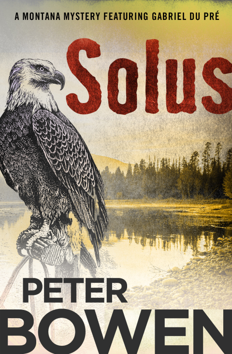 Cover image for book Solus