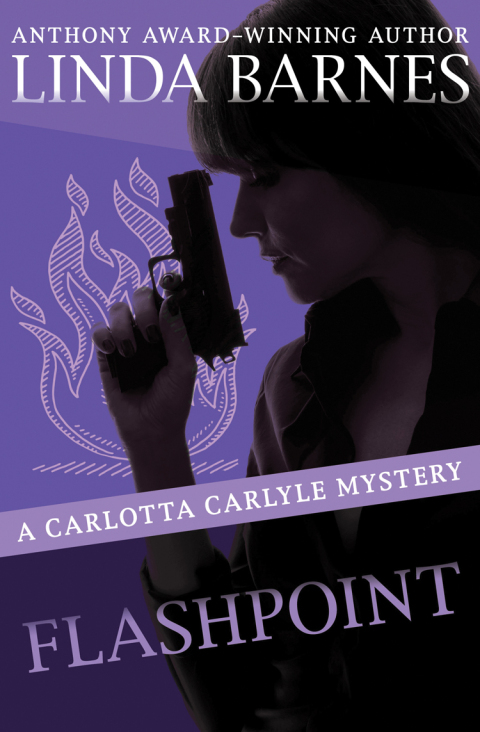 Cover image for book Flashpoint