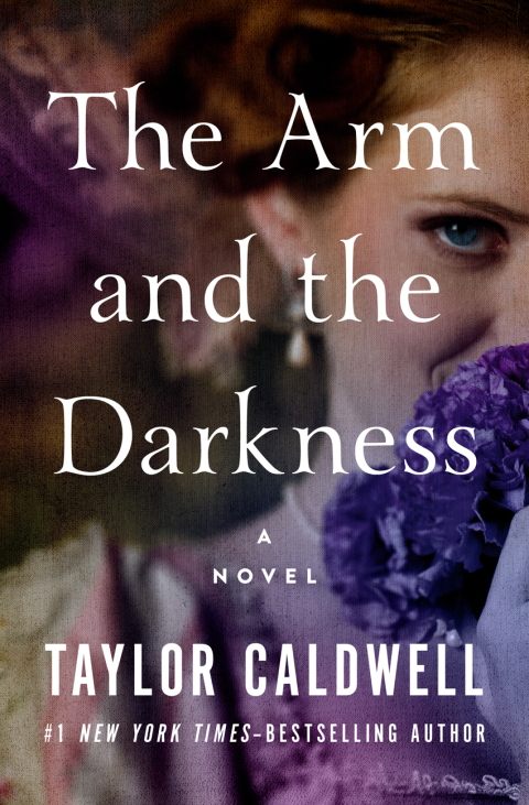 Cover image for book The Arm and the Darkness
