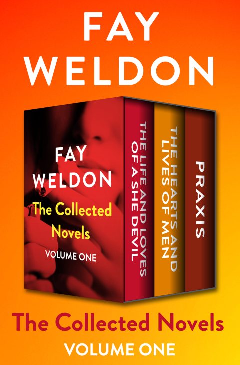 Cover image for book The Collected Novels Volume One