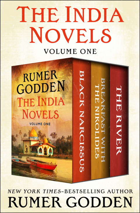 Cover image for book The India Novels Volume One