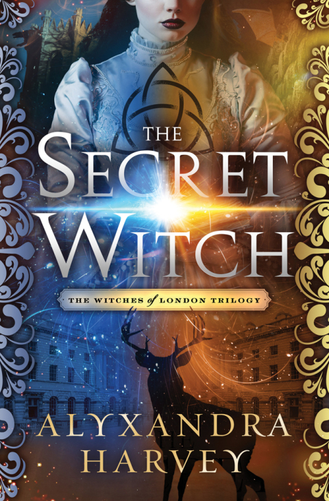 Cover image for book The Secret Witch